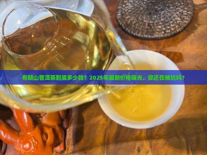 布朗山普洱茶价格多少