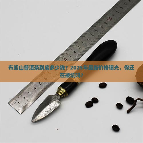 布朗山普洱茶价格多少