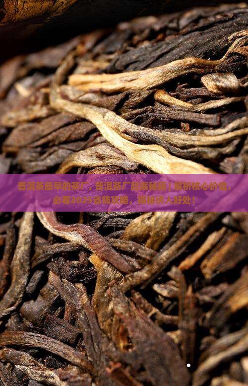 普洱茶最早的茶厂