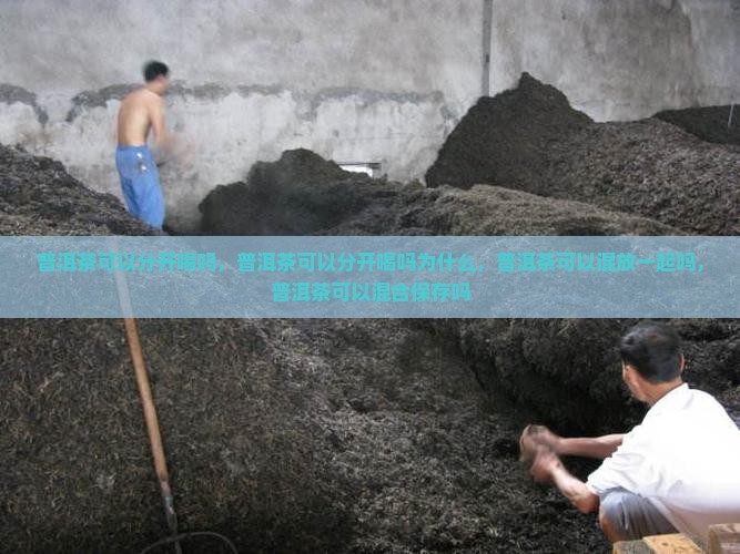 普洱茶可以分开喝吗