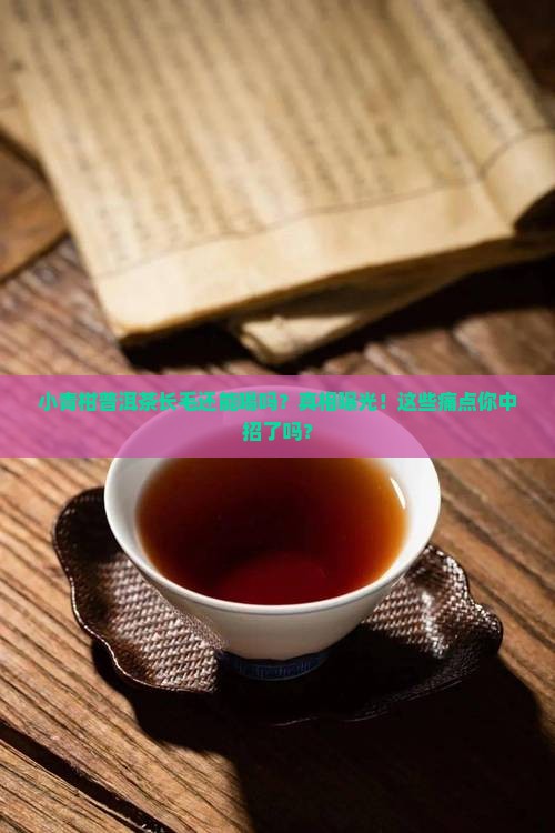 小青柑普洱茶长毛还能喝吗