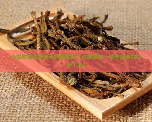 小青柑普洱茶长毛还能喝吗