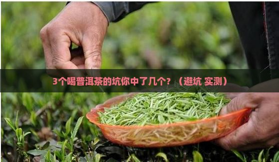 好喝的普洱茶推荐吗