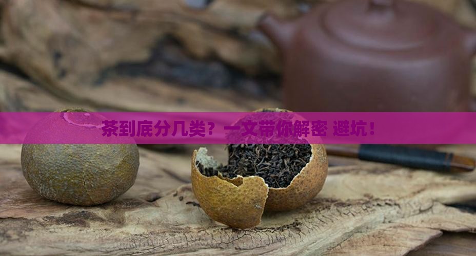 茶大致可以分为几类分别是