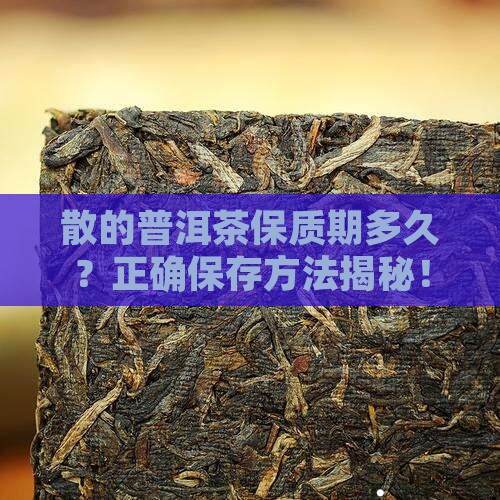 散的普洱茶保质期