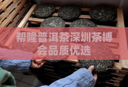 帮隆普洱茶深圳茶博会