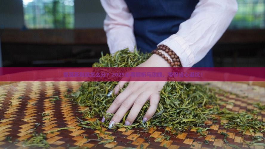 普洱茶品类如何分
