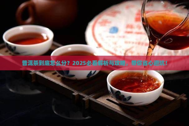 普洱茶品类如何分