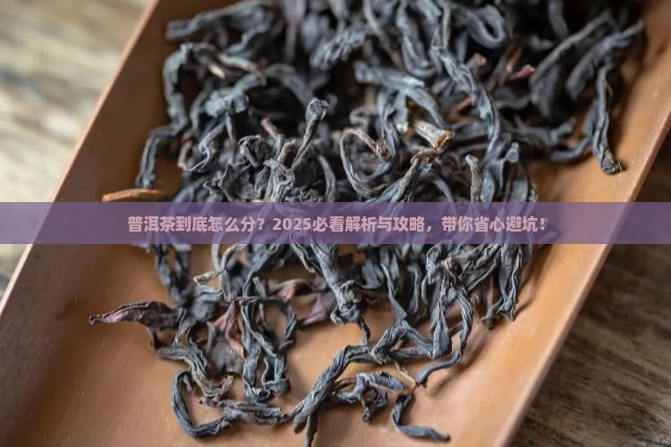 普洱茶品类如何分