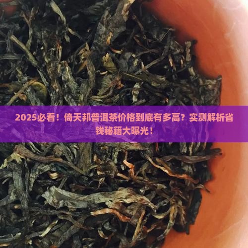 倚天邦普洱茶价格多少钱一斤
