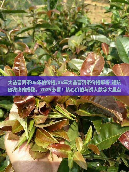 大益普洱茶05年的价格