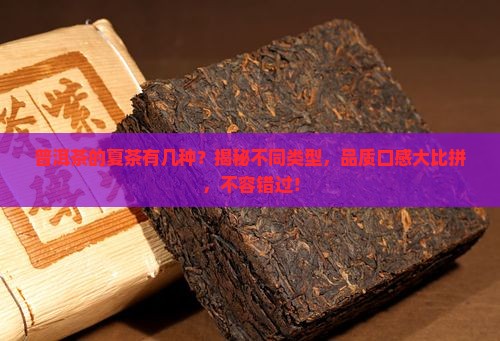 普洱茶的夏茶有几种