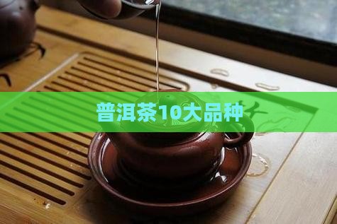 普洱茶10大品种