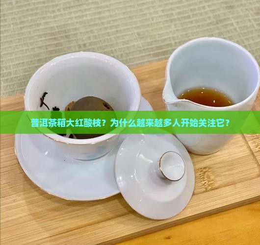 普洱茶箱大红酸枝