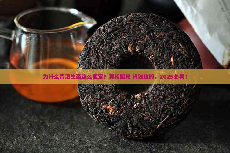 为什么普洱茶生茶那么便宜