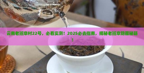 云南老班章村22号