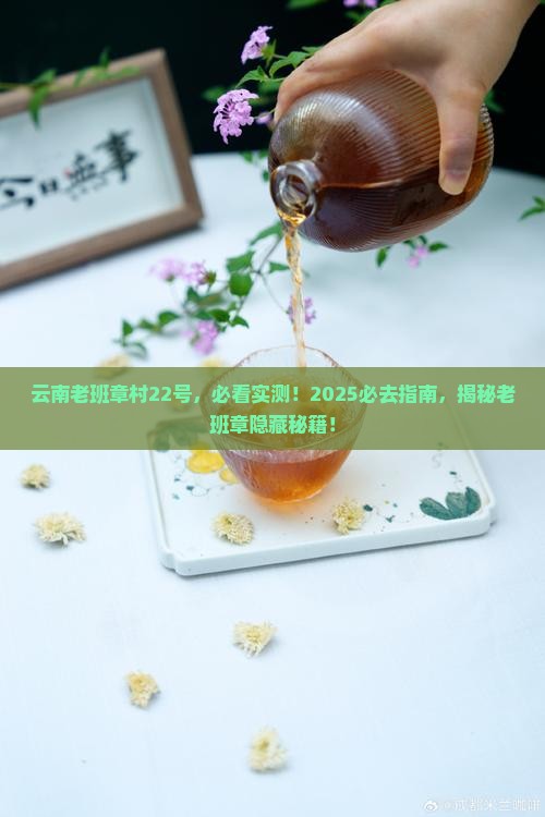 云南老班章村22号