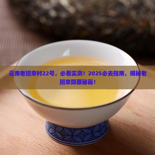 云南老班章村22号
