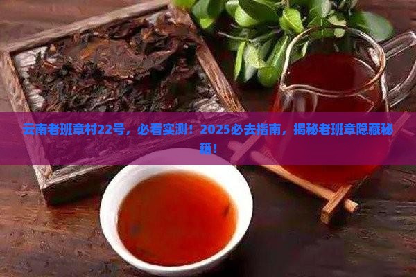 云南老班章村22号