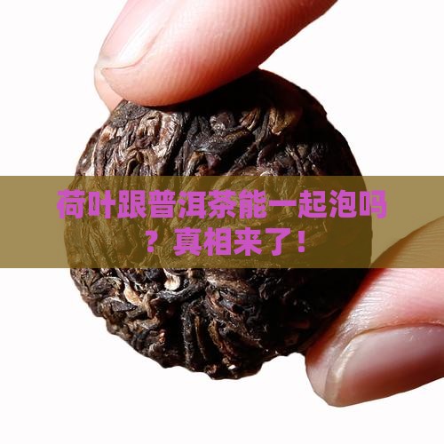 荷叶跟普洱茶能一起泡吗