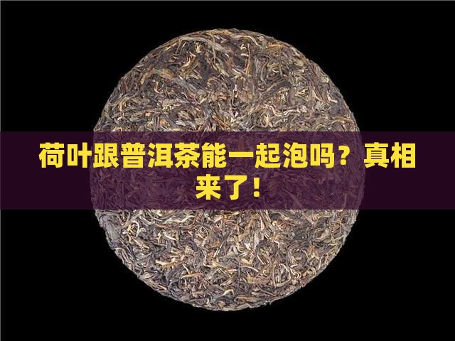 荷叶跟普洱茶能一起泡吗