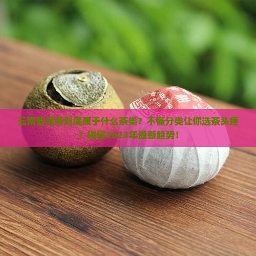 云南普洱茶都是什么茶类