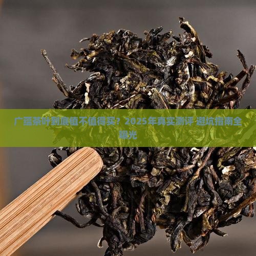 广蕴茶叶怎么样
