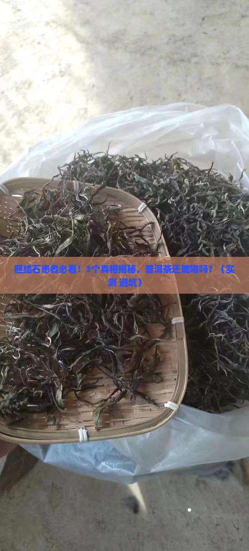胆结石能不能喝普洱茶