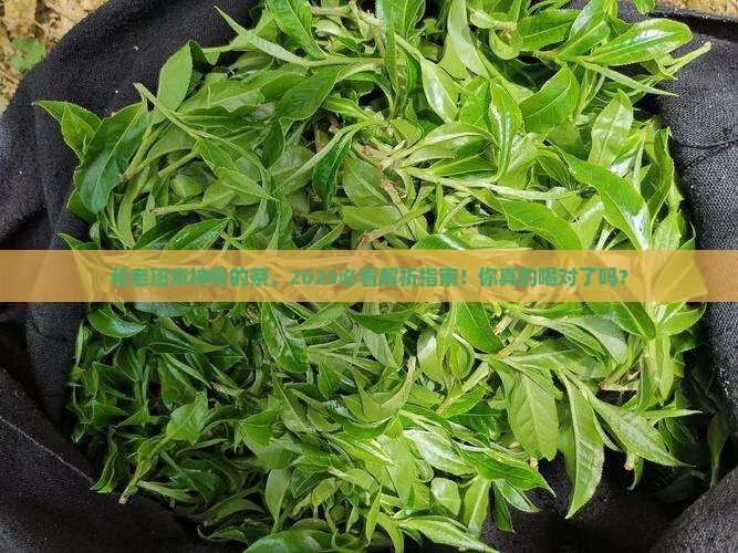 和老班章相似的茶
