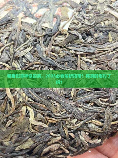 和老班章相似的茶