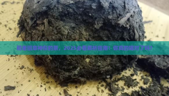 和老班章相似的茶