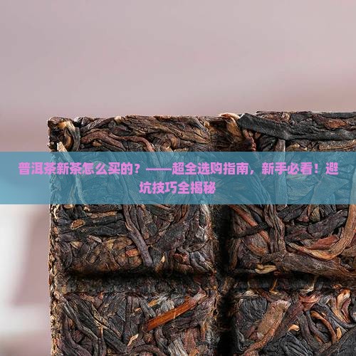 普洱茶新茶怎么买的