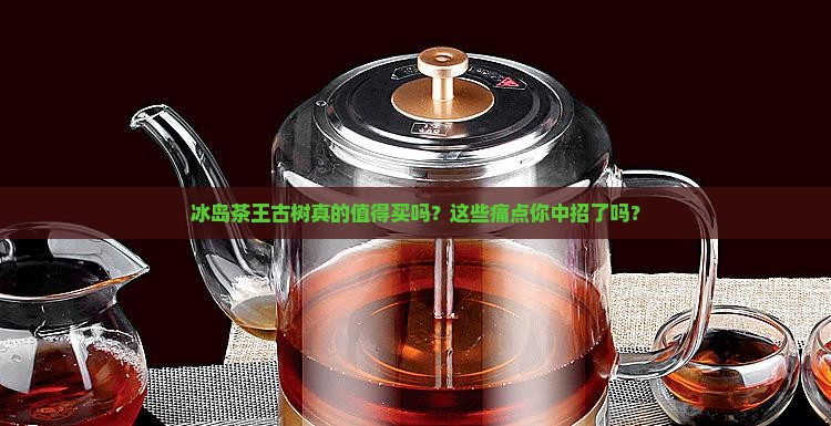 冰岛茶王古树介绍