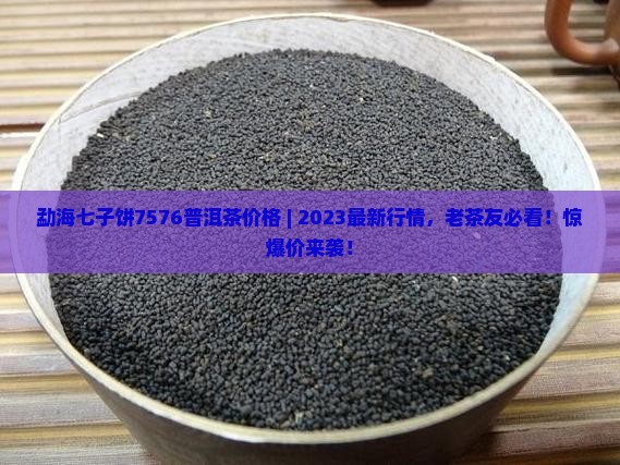 勐海七子饼7576普洱茶价格