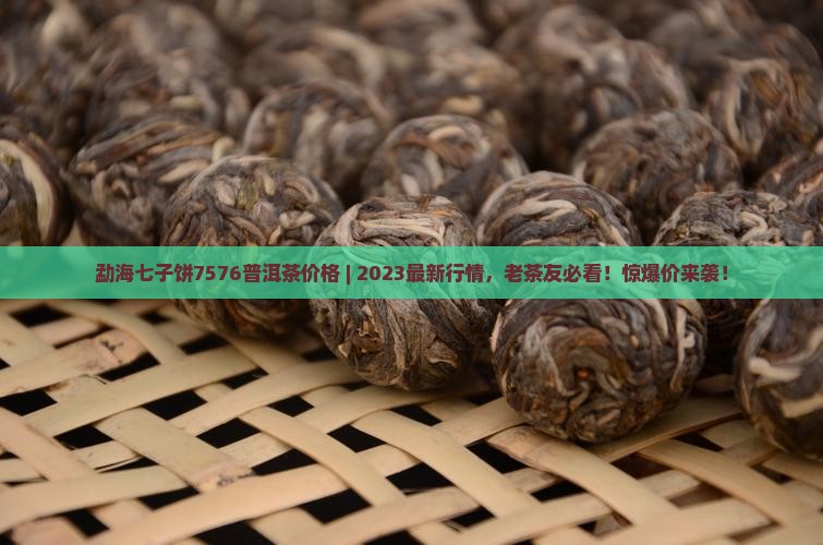 勐海七子饼7576普洱茶价格