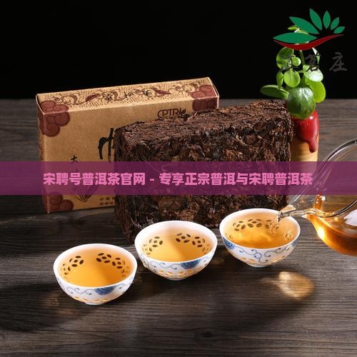 宋聘号2018普洱茶官网