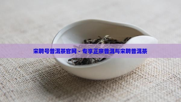 宋聘号2018普洱茶官网