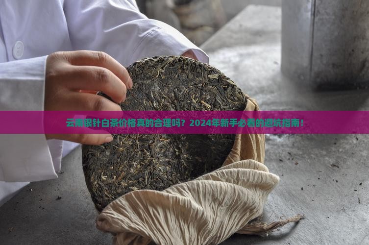 云南银针白茶价格