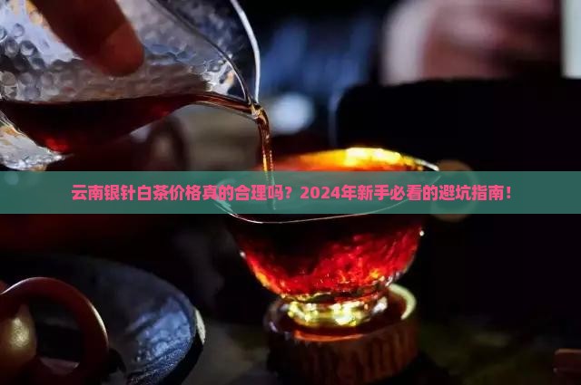 云南银针白茶价格