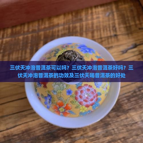 三伏天冲泡普洱茶
