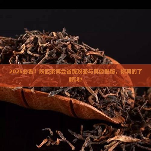 2021年6月陕西各地茶博会