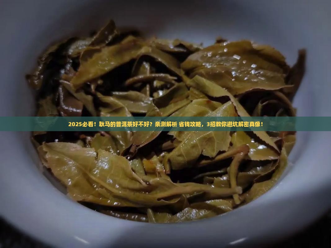 耿马的普洱茶好不好