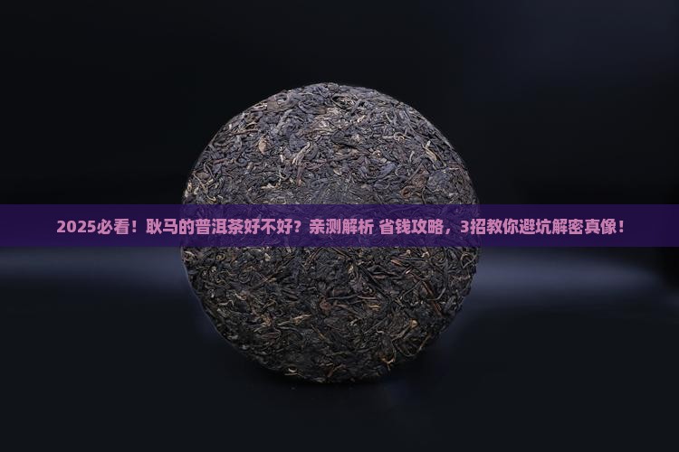 耿马的普洱茶好不好