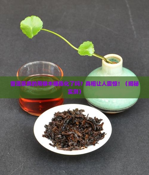 普洱茶用橡木桶陈化了吗