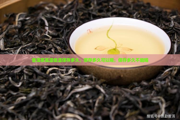 普洱茶高温低温保存多久