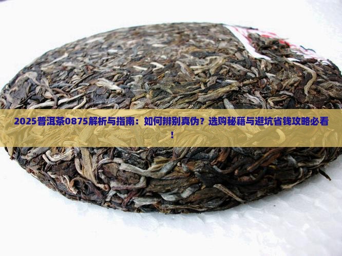 普洱茶0875