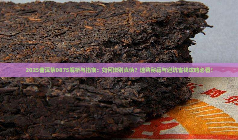 普洱茶0875