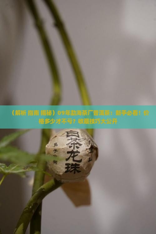 勐海茶厂09年普洱茶