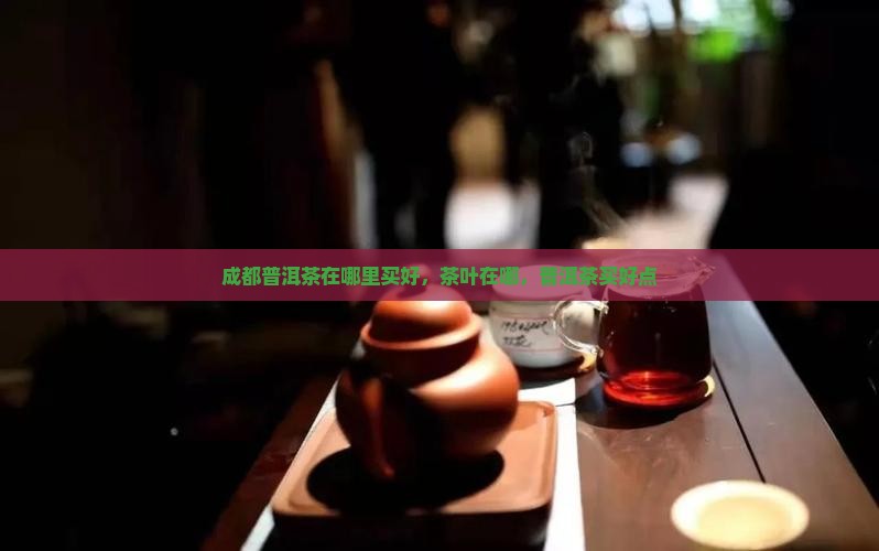 成都普洱茶在哪里买好点