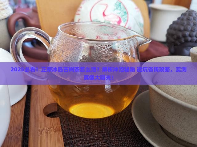 正宗冰岛古树茶怎么泡